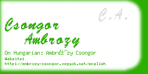 csongor ambrozy business card
